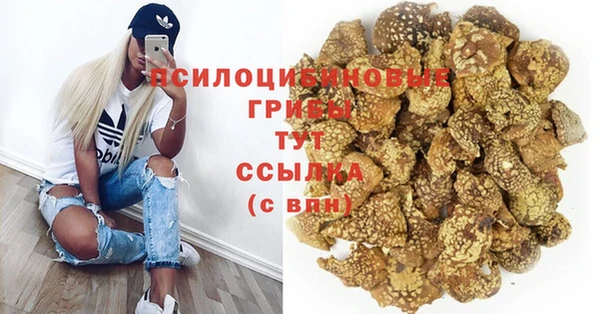 эйфоретик Балахна