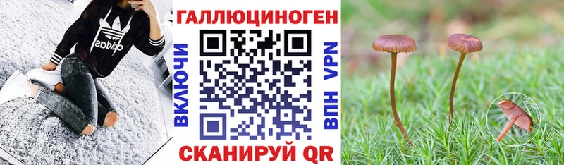 Псилоцибиновые грибы MAGIC MUSHROOMS  купить наркоту  Родники 